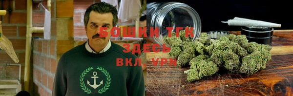 COCAINE Богданович