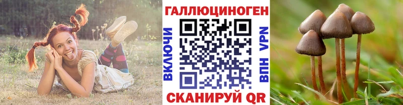 Галлюциногенные грибы прущие грибы цены наркотик Троицк